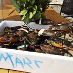 호텔 L'aixart Aiguablava
